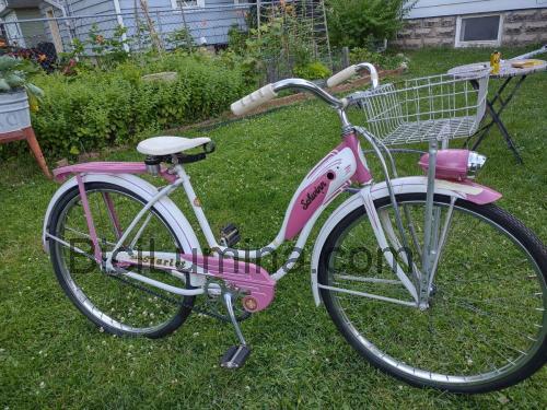 Schwinn Starlet ficha técnica y opiniones